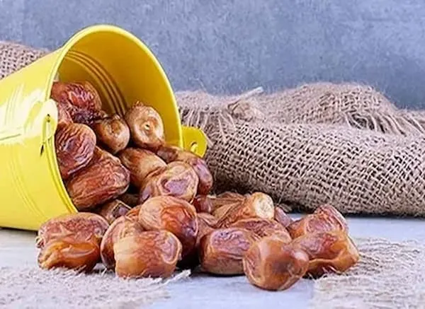بهترین خرما صادراتی چابهار + قیمت خرید عالی